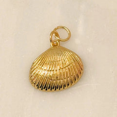 Tidal Shell Charm