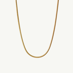 Classic Delicate Necklace