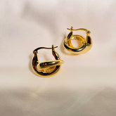 Treasures Earrings - Local Pitara