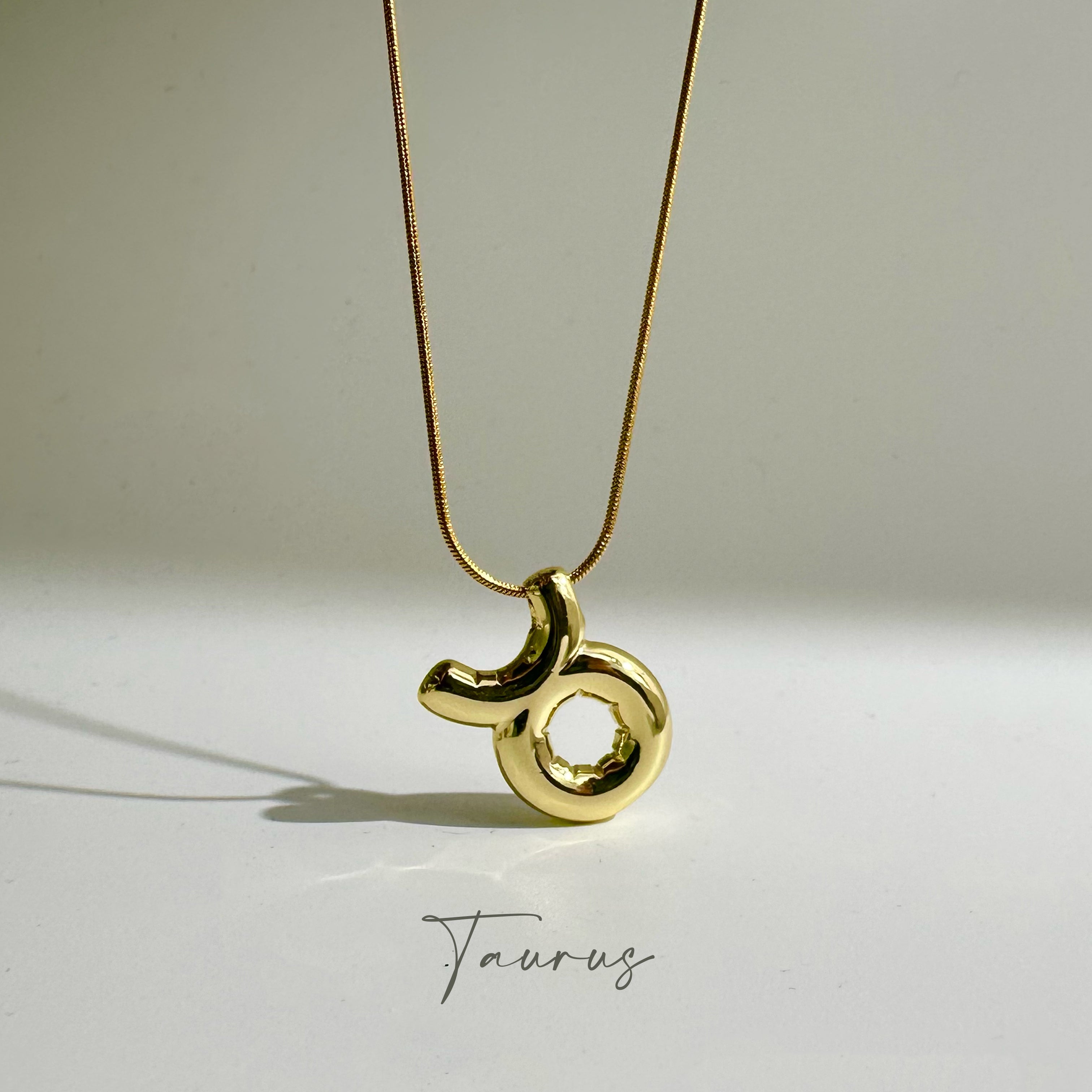 Celestial Power Zodiac Necklace