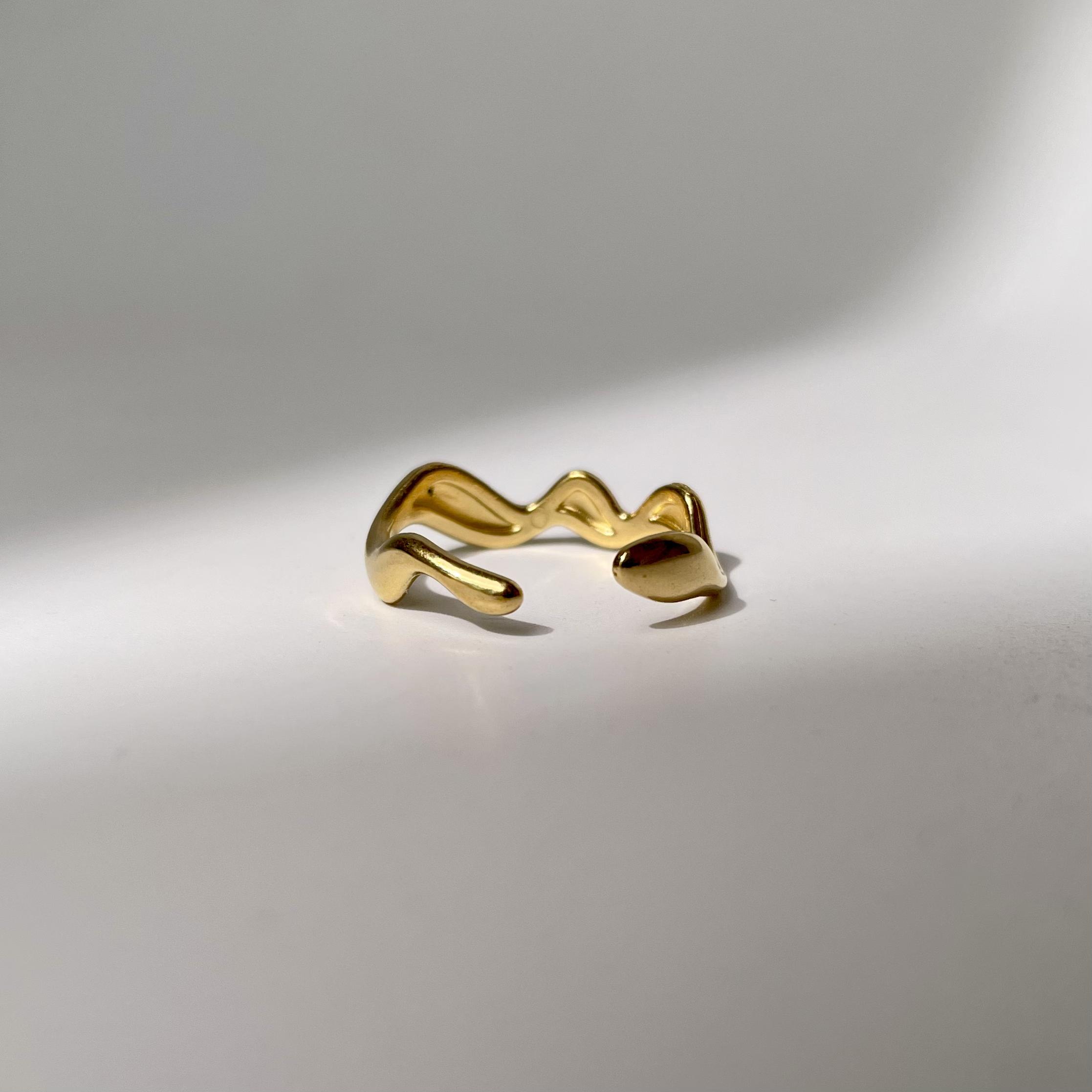 Fluid Ring