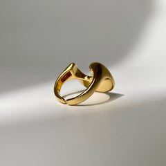 Arena Ring