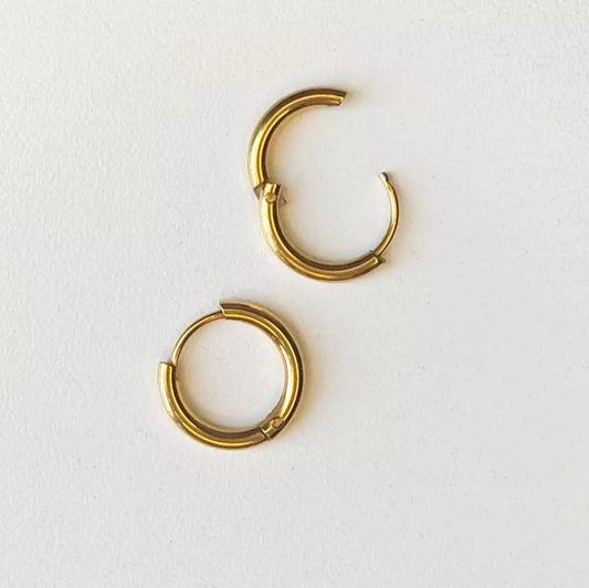 Aurum Loop Earrings