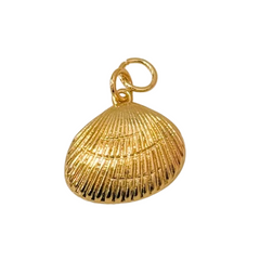 Tidal Shell Charm