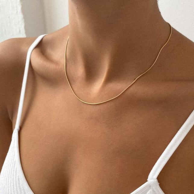 Classic Delicate Necklace